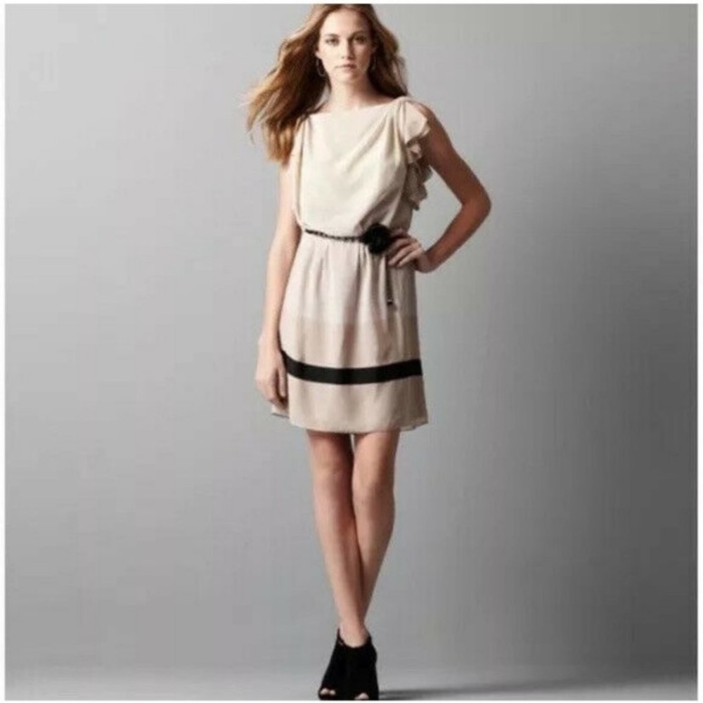 LOFT blush tan ruffle sleeve dress w colorblock